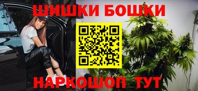 крисы Краснознаменск