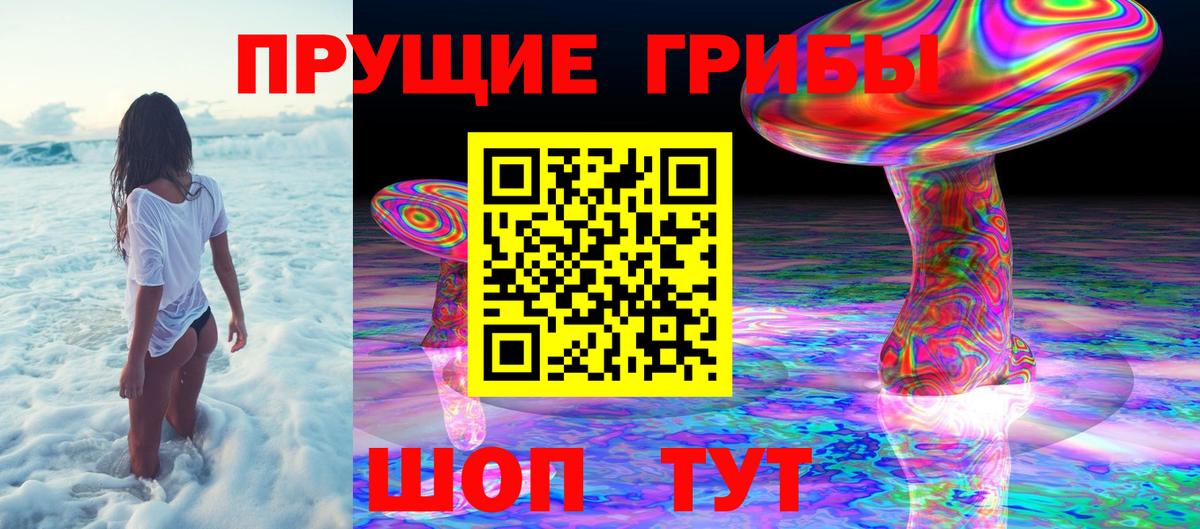Сергиев Посад  Псилоцибиновые грибы GOLDEN TEACHER  наркота  Вход с VPN 