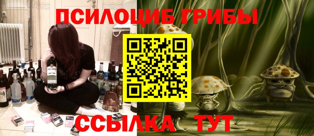 Псилоцибиновые грибы прущие грибы Сергиев Посад